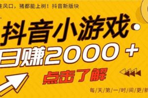 （14319期）抖音小游戏，最新风口项目，亲测单游戏2000+感兴趣点击了解。