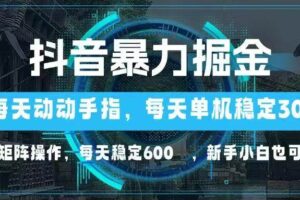 （14541期）抖音暴力掘金，动动手指就可以，单机30+，可矩阵操作，每天稳定600+，…