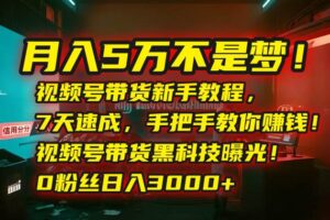 （15595期）月入5万不是梦！视频号带货新手教程，7天速成，手把手教你赚钱！视频号…
