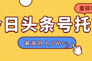 （15905期）【头条号托管 】我提供视频，你发布，每天操作5分钟，最高躺赚1W+