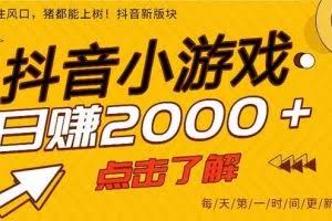 （16832期）2025年爆火的抖音小游戏项目，一部手机日入2000+