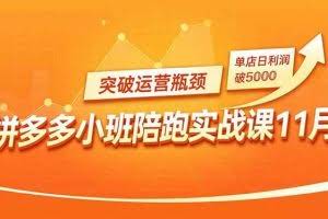 （16654期）拼多多小班陪跑实战课11月，强付费矩阵、原价活动、暗券引流，突破运营瓶颈，单店日利润破5000