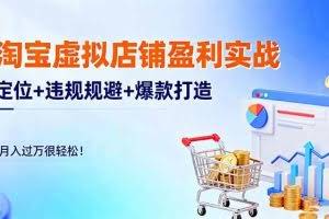 （16387期）淘宝虚拟店铺盈利实战：定位+违规规避+爆款打造，月入过万很轻松！