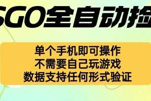 （16207期）自动挂机捡漏，不用自己挂机不用玩游戏，一个手机即可操作。新手小白轻…