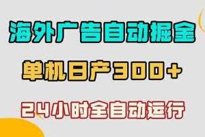 （18716期）海外广告自动掘金，单台电脑日产300+，小白可操作