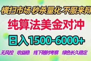 （18651期）2026美金掘金新风口-纯算法对冲震撼上线！日入1500-6000+，长久合规稳健，轻松摆脱死工资，…
