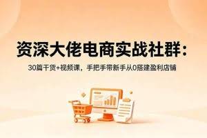 （18529期）资深大佬电商实战社群：30篇干货+视频课，手把手带新手从0搭建盈利店铺