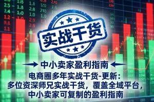 （18398期）电商圈多年实战干货-更新5月10：多位资深师兄实战干货/覆盖全域平台，中小卖家可复制的盈利指南