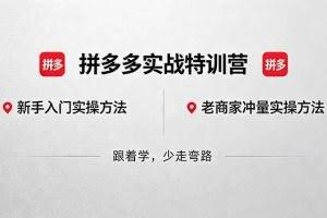 （18309期）拼多多实战特训营(更新5月3)：不管是新手入门或老商家冲量，都有实操方法，跟着学，少走弯路