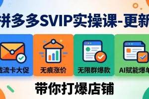 （18045期）拼多多SVIP实操课-26年4月，截流卡大促+无痕涨价+无限群爆款+AI赋能爆单新玩法，带你打爆店铺