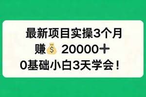 （17856期）最新项目实操3个月，赚钱20000+，0基础小白3天学会！