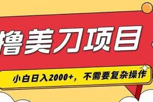 （19493期）撸美刀，单日收入2000+，小白可做