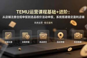 （19081期）TEMU运营课程（基础+进阶）：从店铺注册合规申报到选品核价活动申报，系统搭建稳定盈利店铺