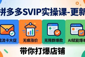 （19626期）拼多多SVIP实操课-26年7月，截流卡大促+无痕涨价+无限群爆款+AI赋能爆单新玩法，带你打爆店铺